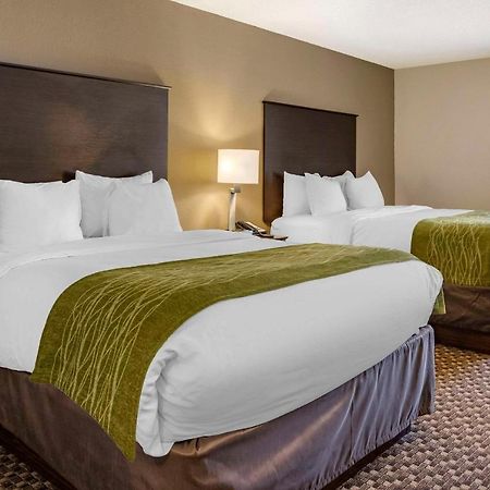 Comfort Inn Wings Stadium Kalamazoo Eksteriør billede
