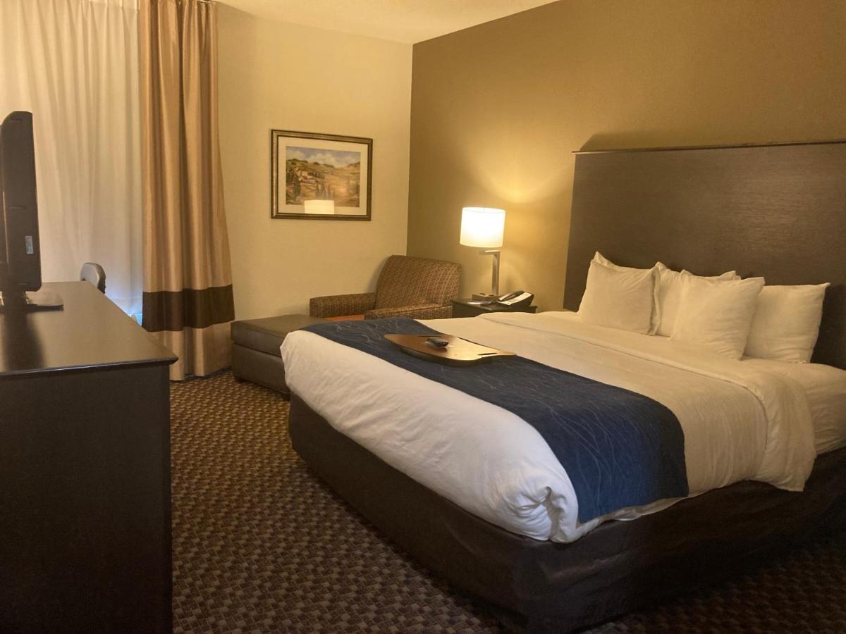 Comfort Inn Wings Stadium Kalamazoo Eksteriør billede