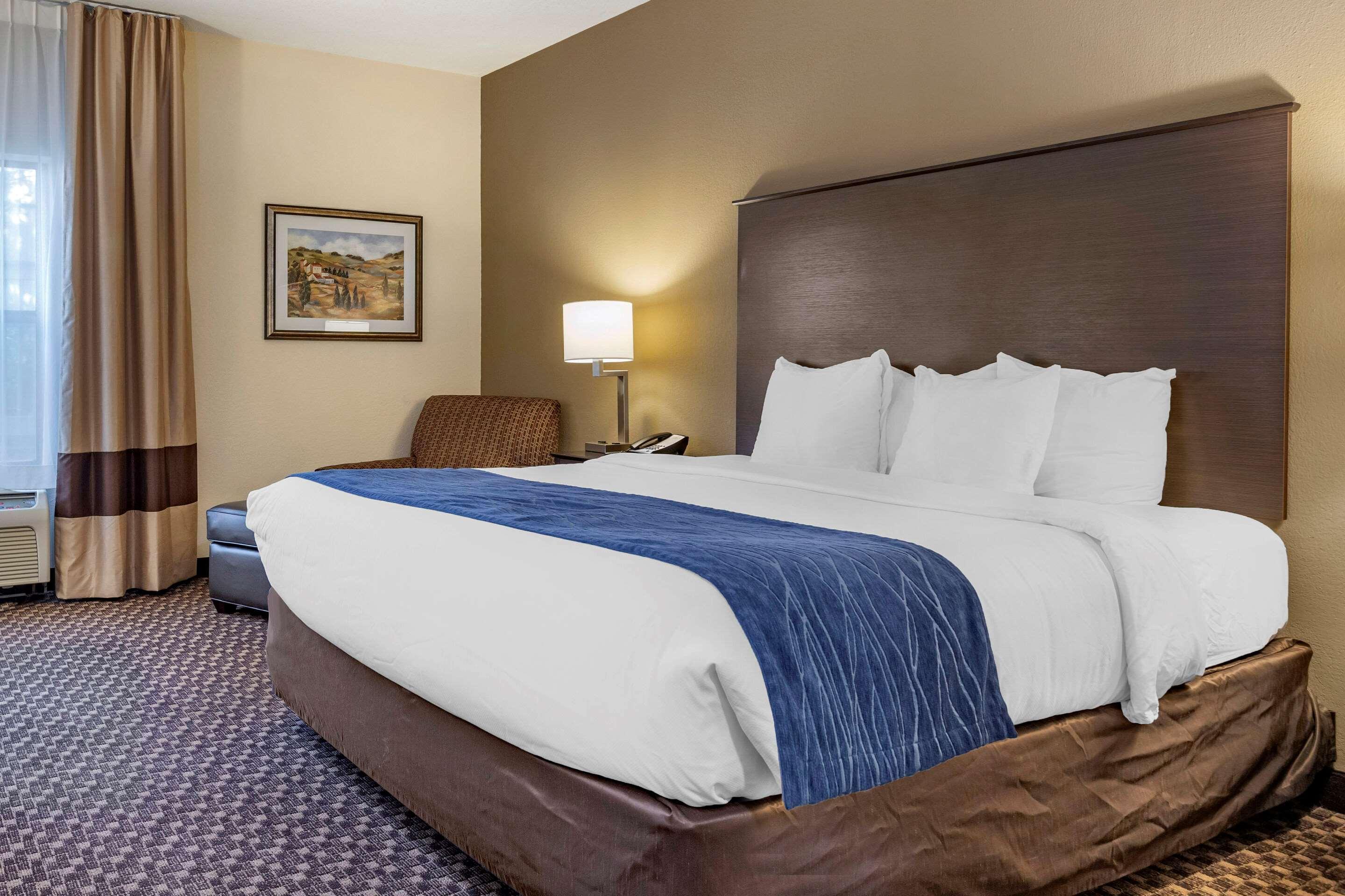 Comfort Inn Wings Stadium Kalamazoo Eksteriør billede
